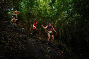 BIB: 
                            <button type="button" onclick="openModal(25099415)" class="btn btn-primary btn-sm float-right btn-popup" data-toggle="modal" data-target=".modal-high-quality">
                        <i class="fas fa-shopping-cart"></i> Add to Cart
                    </button>
                                            <button type="button" onclick="isThisMe(25099415, true)" class="btn btn-success btn-sm float-right btn-popup btn-isme hidden" data-toggle="tooltip" data-placement="bottom" title="นี่คือรูปของคุณใช่ไหม คลิกที่นี่เพื่อเอาเข้าอัลบั้ม">
                        <i class="fas fa-plus"></i> Add to album
                    </button>
                    <button type="button" onclick="isThisMe(25099415, false)" class="btn btn-warning btn-sm float-right btn-popup btn-isnotme hidden">
                        <i class="fas fa-ban"></i> Remove from album
                    </button>